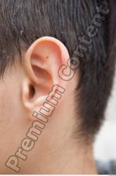 Ear Man White Average